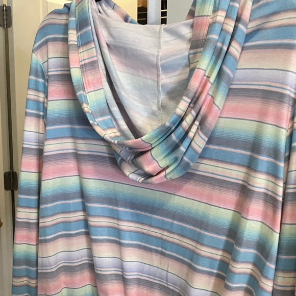 Wildfox Multicolor Striped Hoodie - Picture 4 of 7